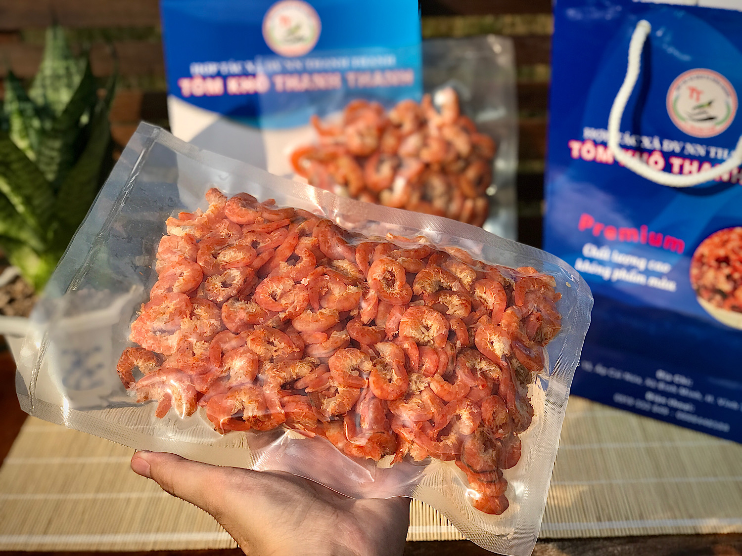 Cung cấp chất dinh dưỡng cho cơ thể